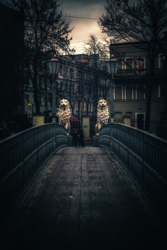 Львиный мост в Санкт-Петербурге - Игорь Свет