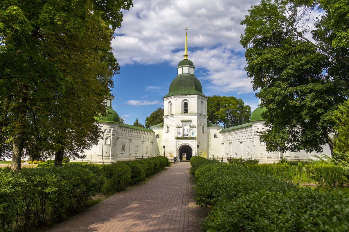 Новгород Северский - Александр Ведмидь