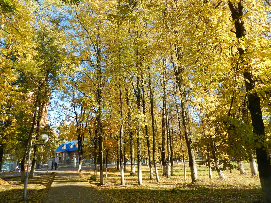 Осенний бал в парке - Анатолий Кувшинов