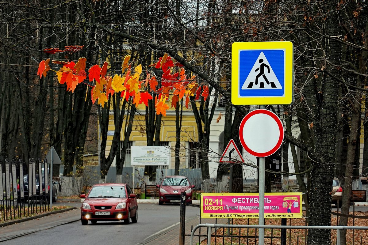 Новый дорожный знак "Осторожно! Осень!" - Татьяна Помогалова