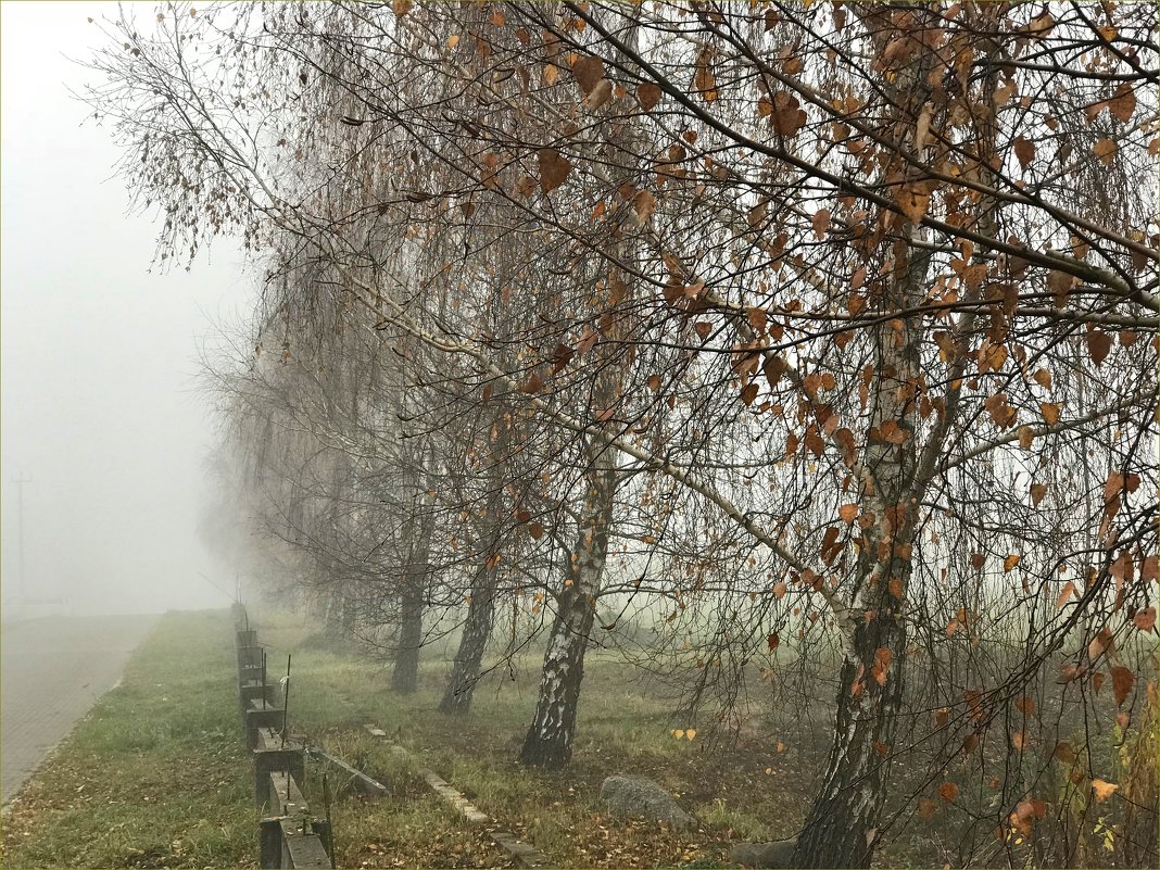 Осень... - Валерия Комова
