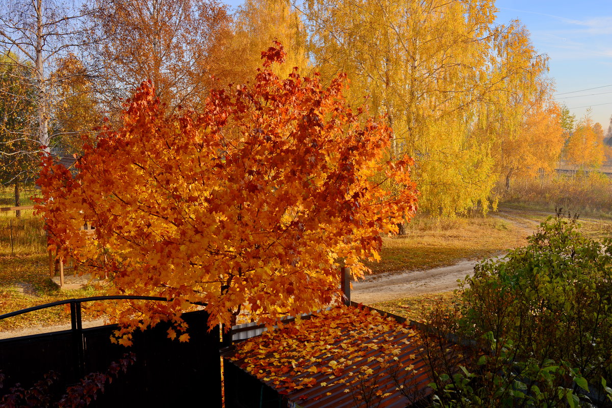 Осень золотая - Валерий Толмачев