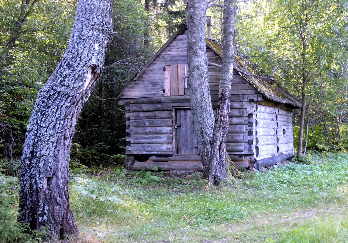 домик в лесу - Дмитрий Солоненко