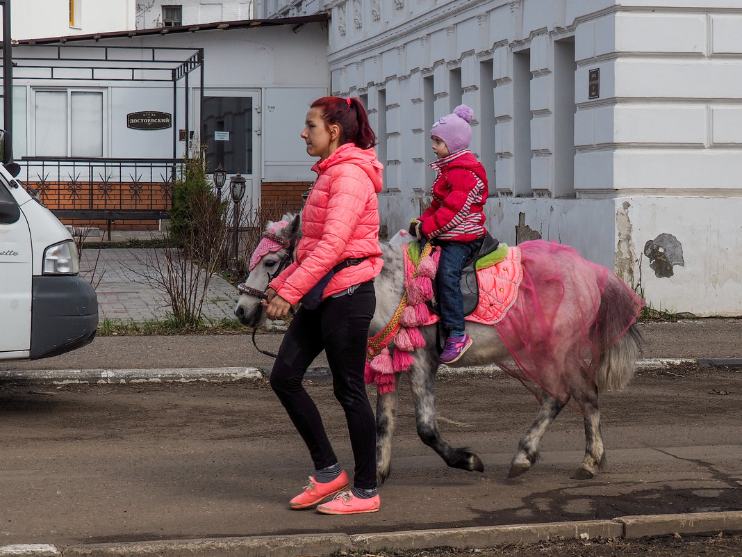 *** - Василий Петрович .