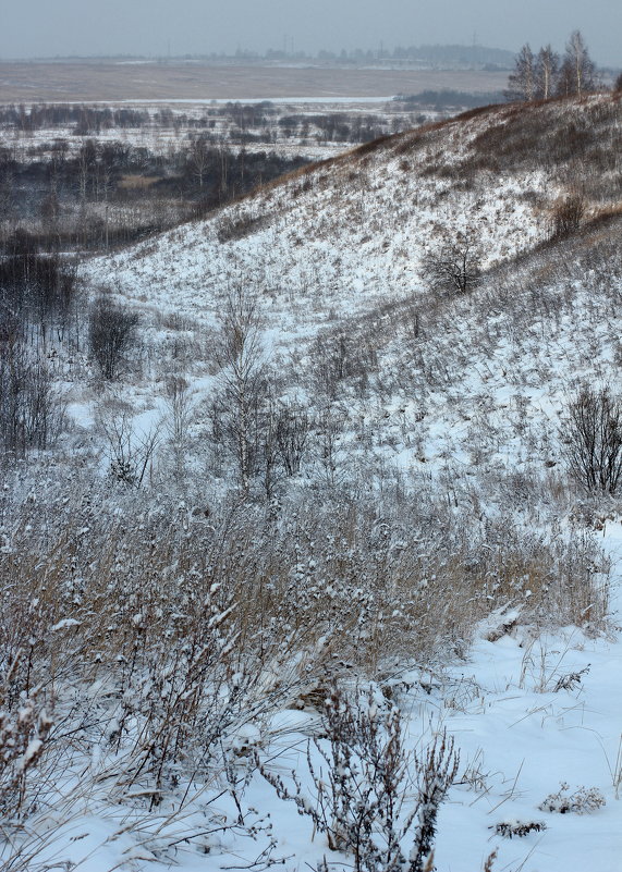 Первый снег - Радмир Арсеньев