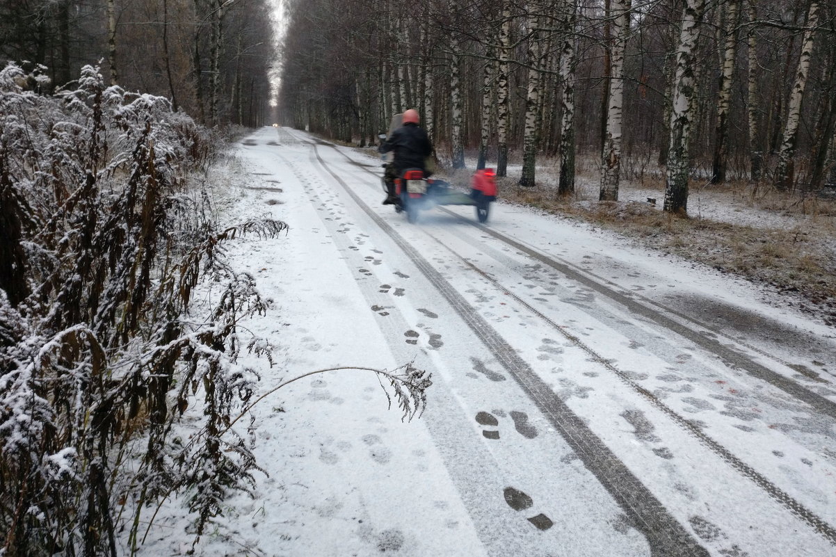 По первому снегу сегодняшнего утра в Ярославле - Николай Белавин