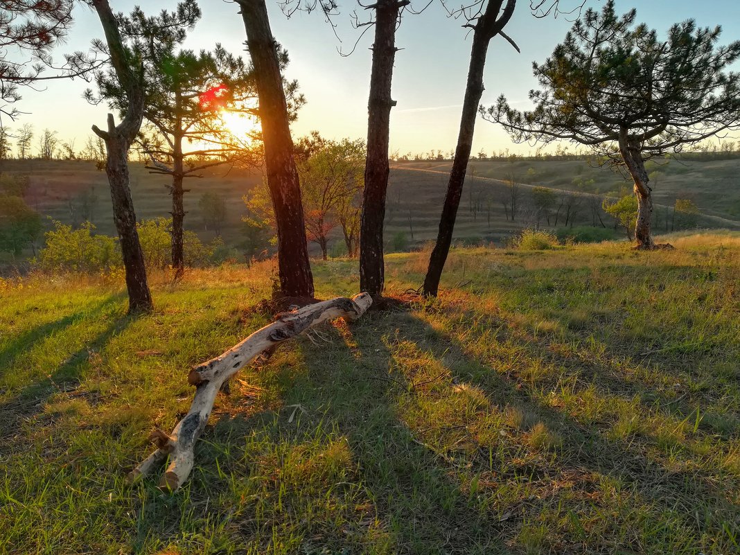 Место встретить рассвет - Дмитрий фотограф