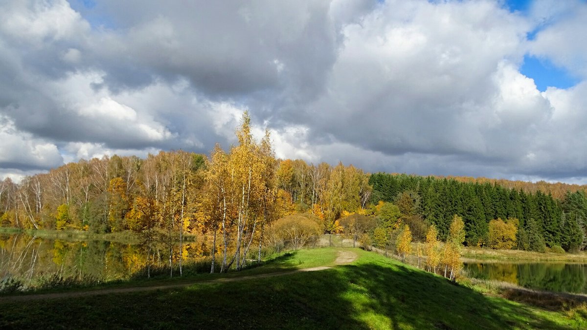 Осенний пейзаж - Милешкин Владимир Алексеевич 
