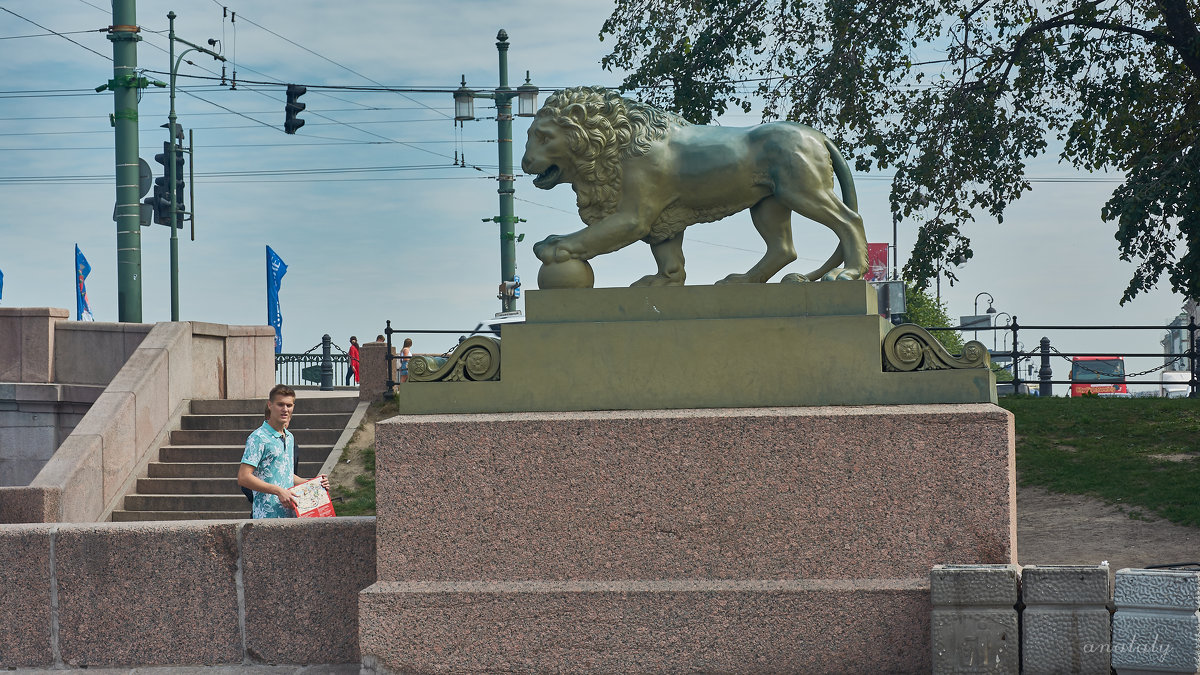 лев около Дворцового моста - Натали Зимина