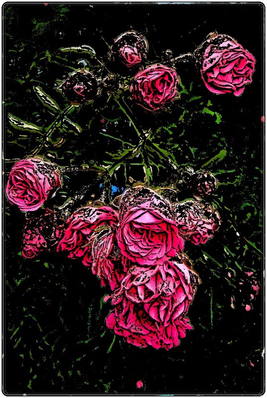 Веточка вьющейся розы - Нина Корешкова