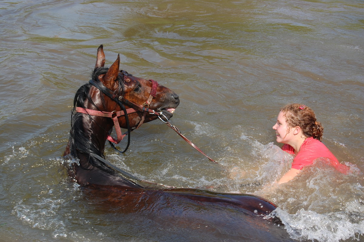 Купание коней в реке Колочь - Евгений Винокуров