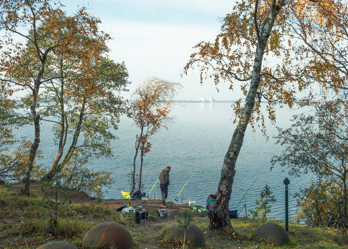 Осень на берегу озера Разлив (01) - Виталий 