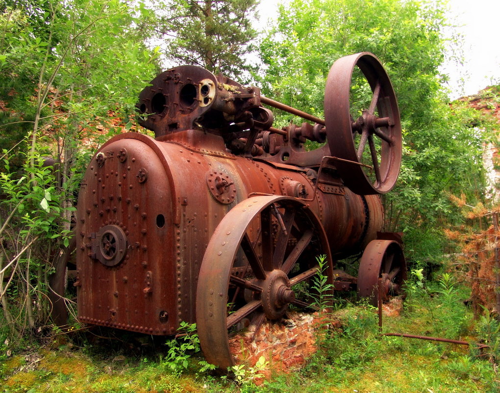 Заброшенный в Беломорском лесу локомобиль 1867 года - Игорь Корф