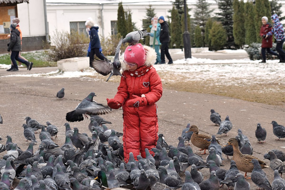 Так встретили голуби в Николо - Угрешском монастыре! - Татьяна Помогалова