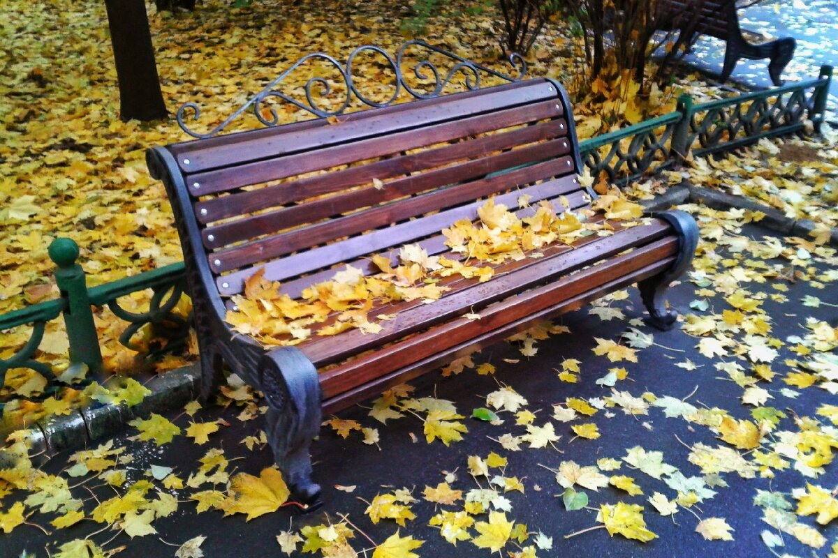 На скамейке осень... - Сергей Б.