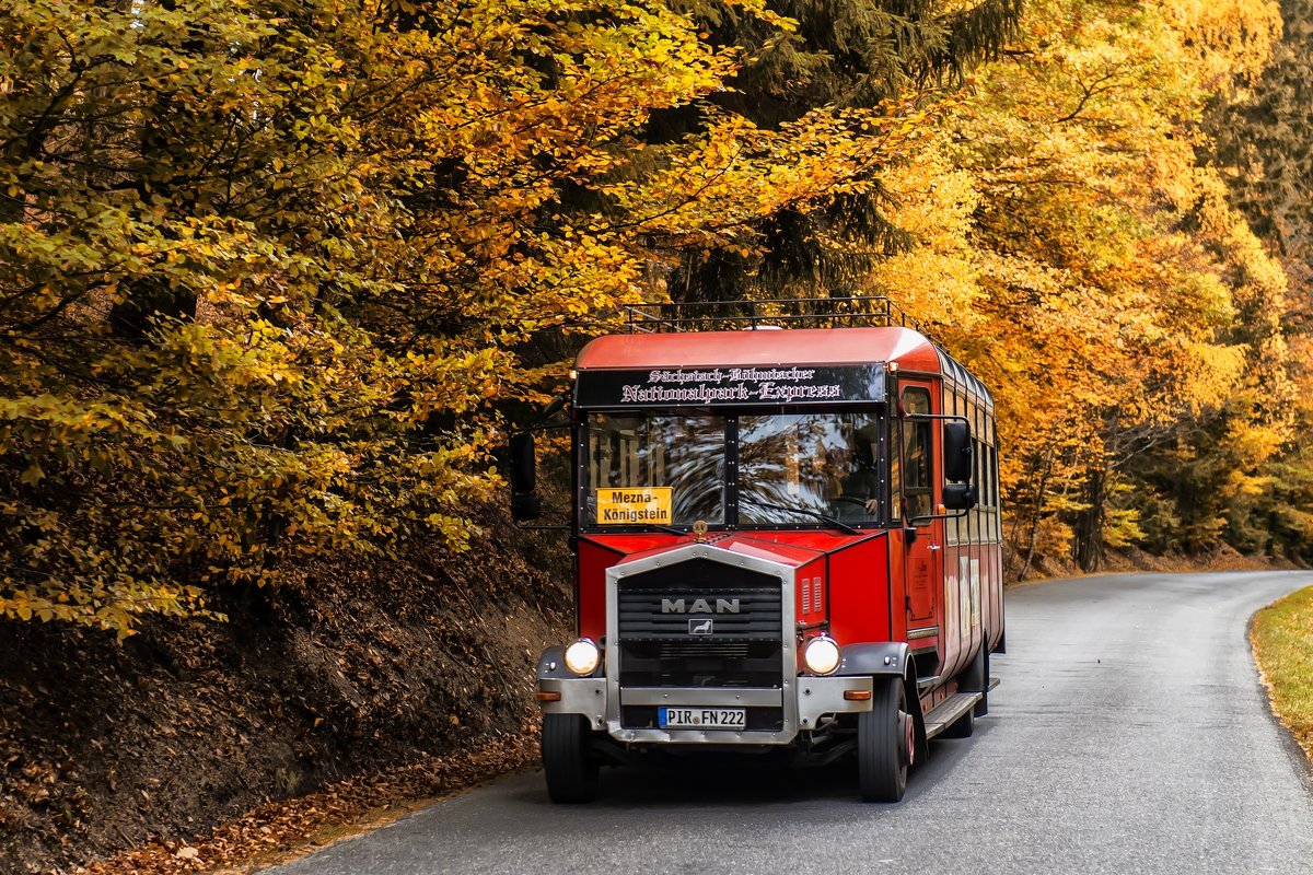 red bus in the autumn forest - Dmitry Ozersky