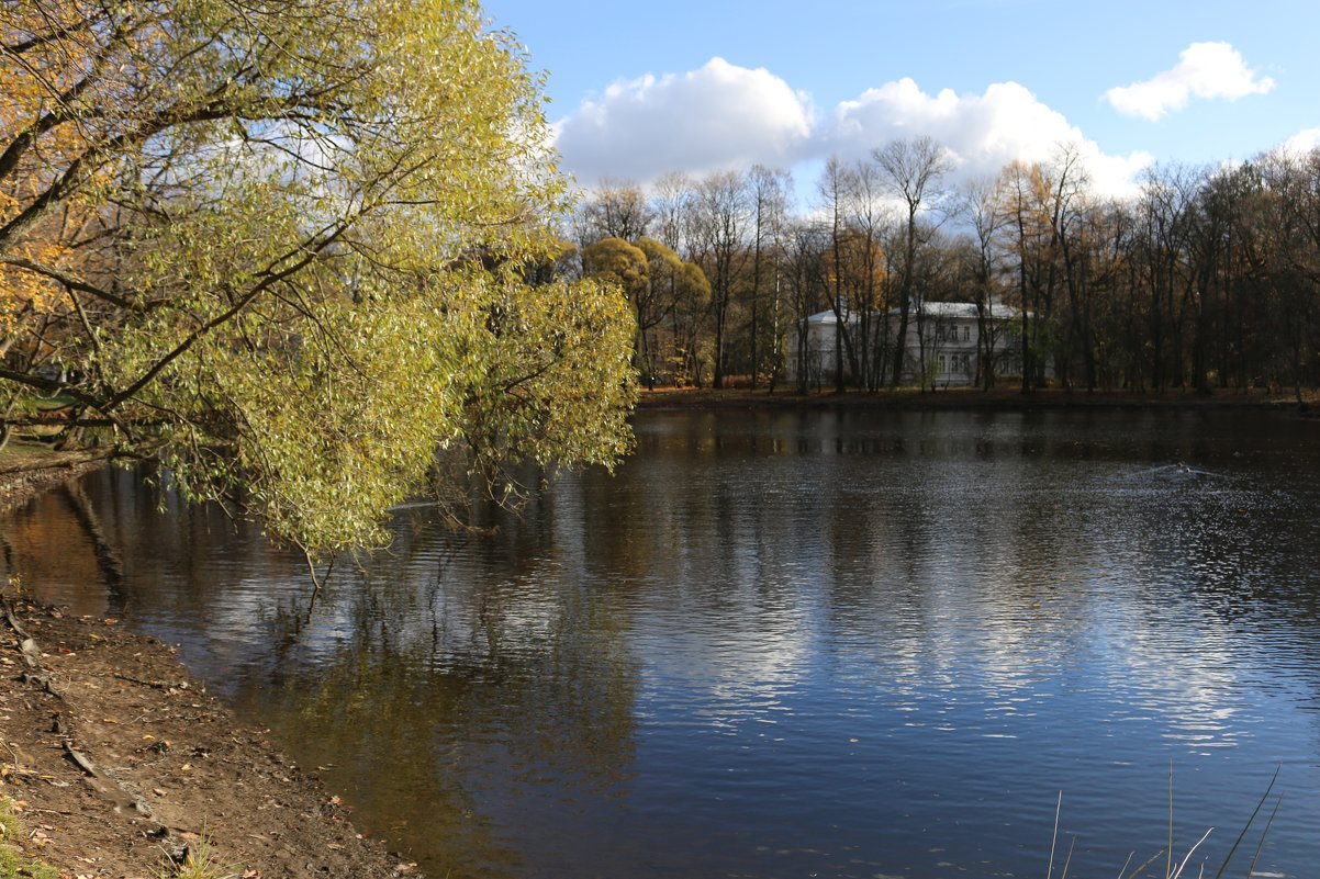 Осень на Елагинских прудах - Ольга 