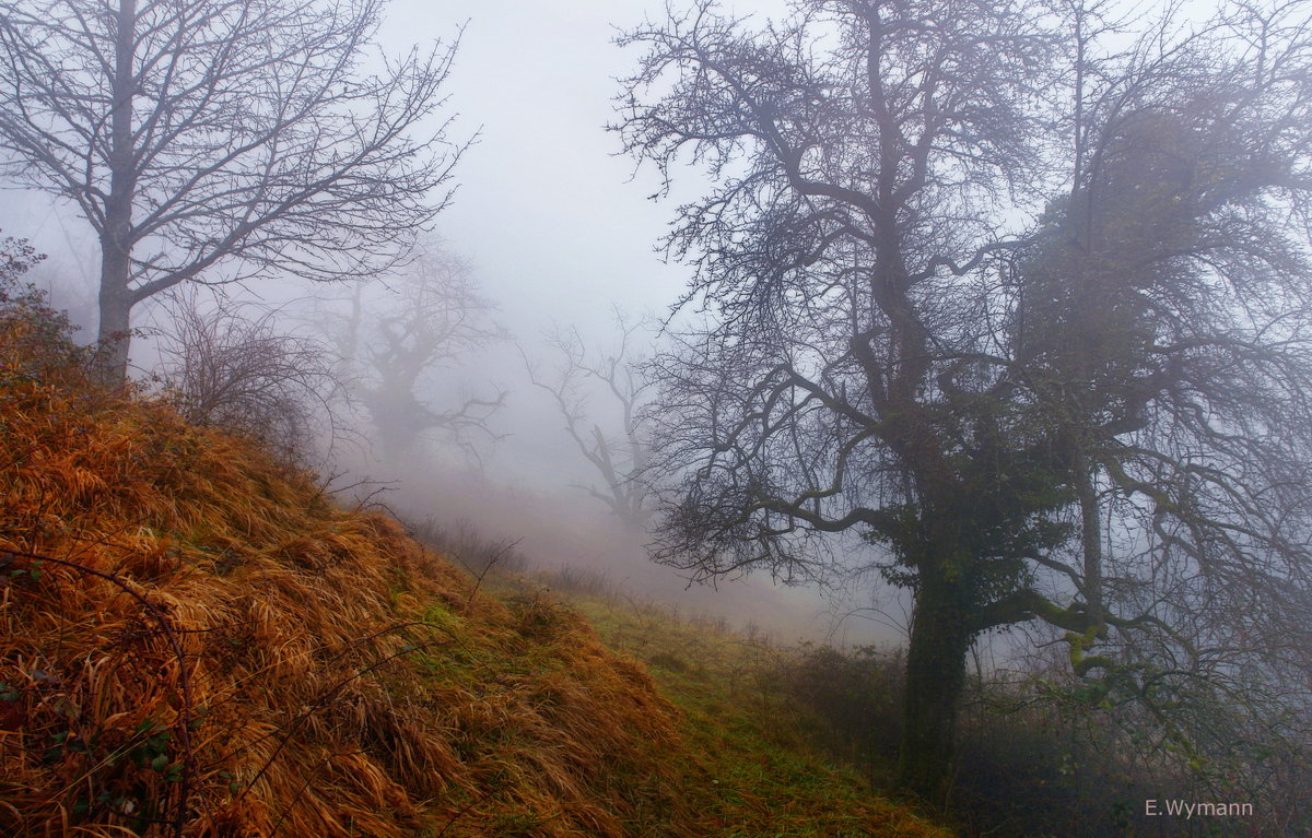 зимний туман в горах - Elena Wymann