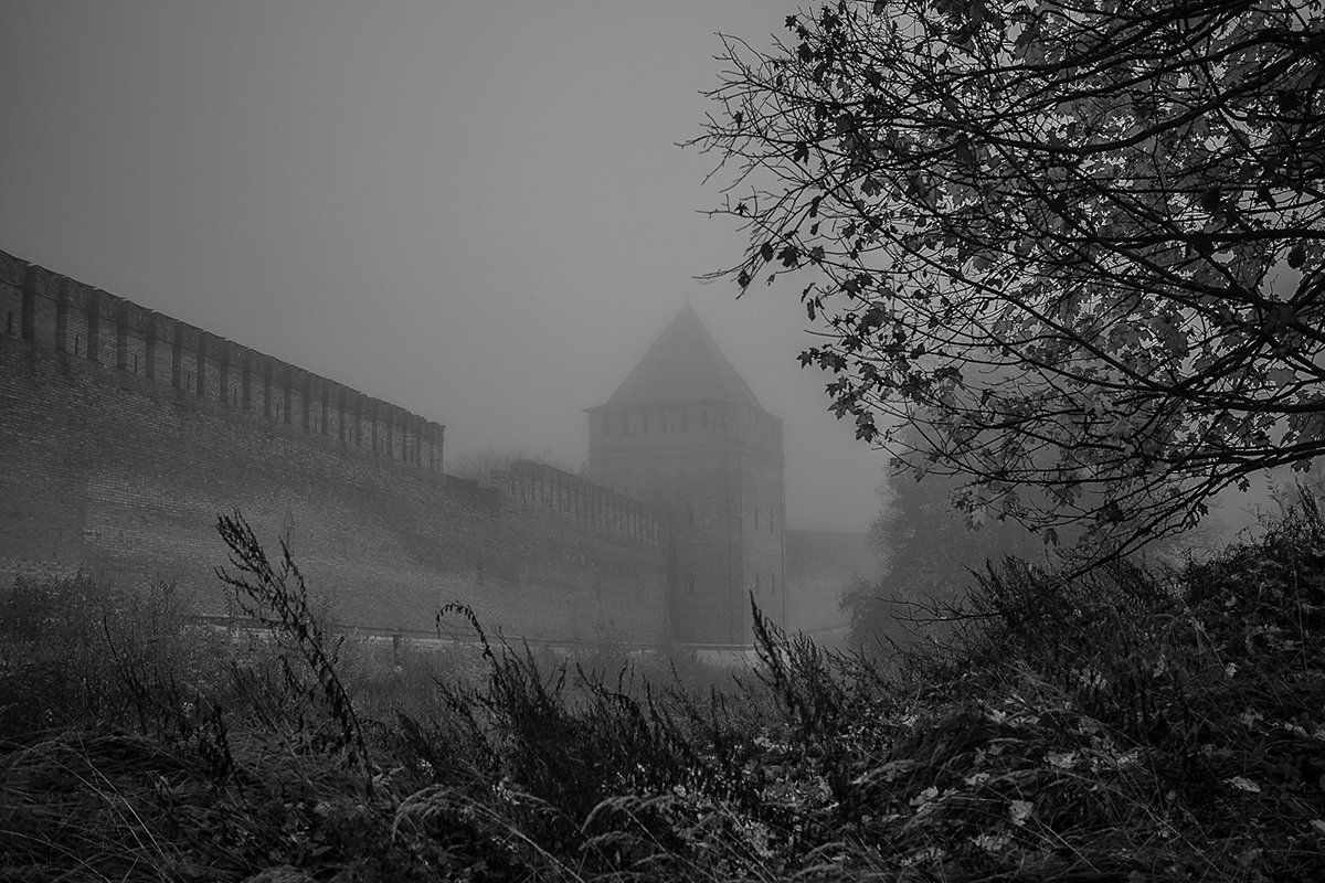 стена в тумане - Дмитрий Багдасарьян