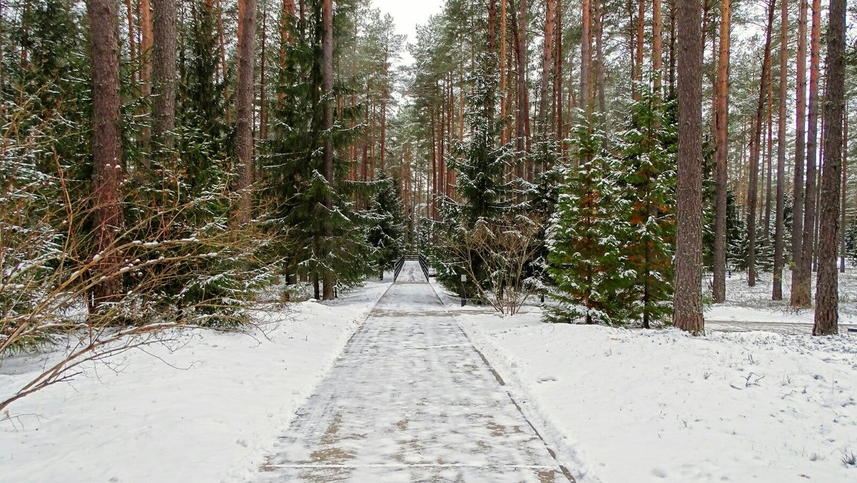 В последние дни осени - Милешкин Владимир Алексеевич 