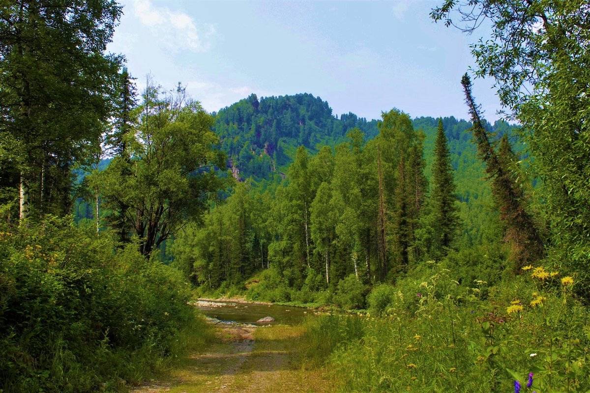 Дорога к реке - Сергей Чиняев 