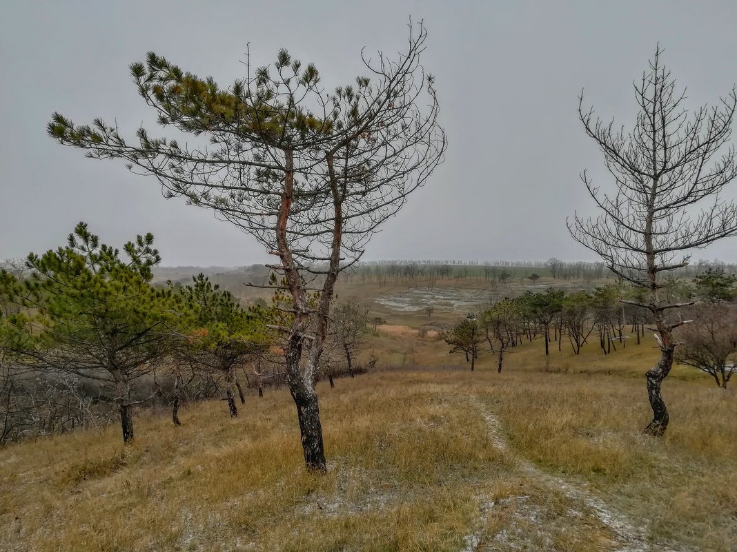 Посадка за городом - Дмитрий фотограф