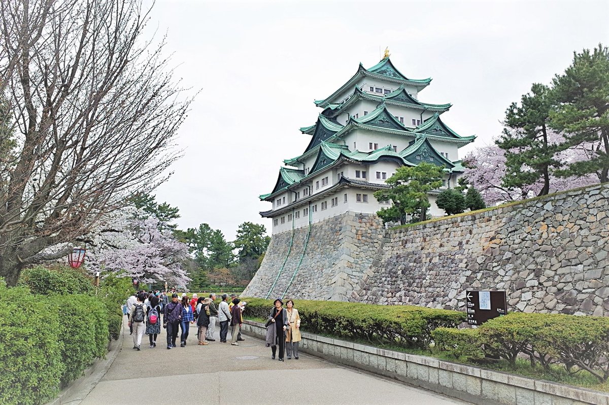 Замок Нагоя и сакура - wea *