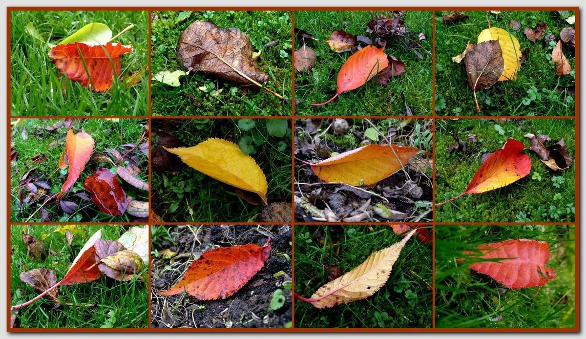 Осенние цвета - Heinz Thorns