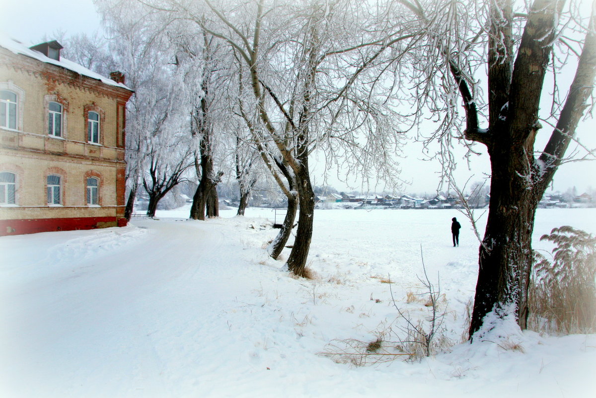 Зимний день - Нэля Лысенко
