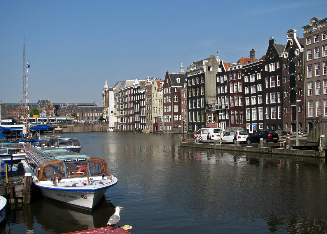 Амстердам - Grey Bishop