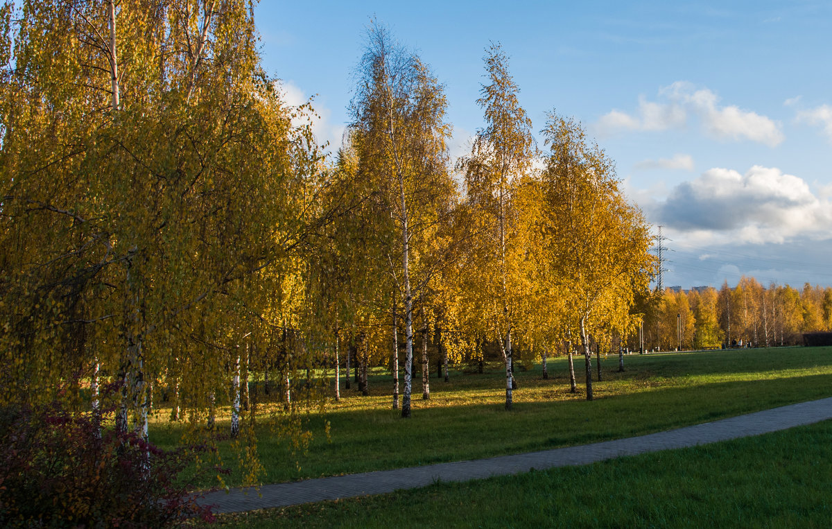 *** - Владимир Безбородов