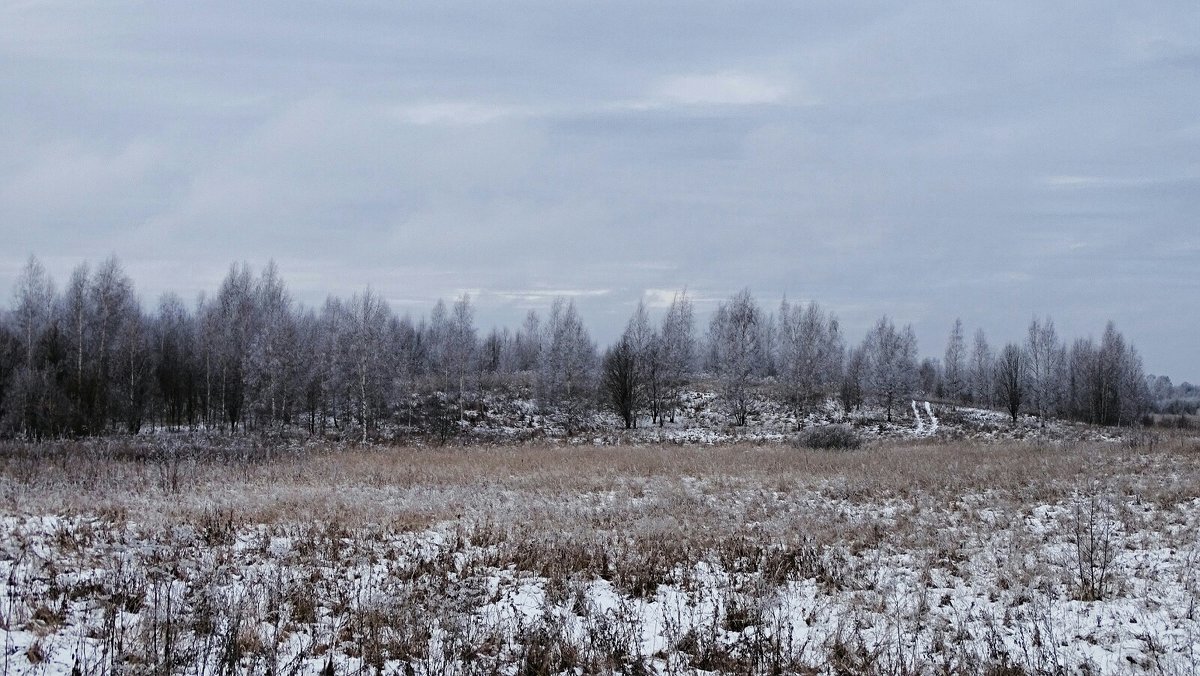 Пасмурным декабрьским днём - Милешкин Владимир Алексеевич 