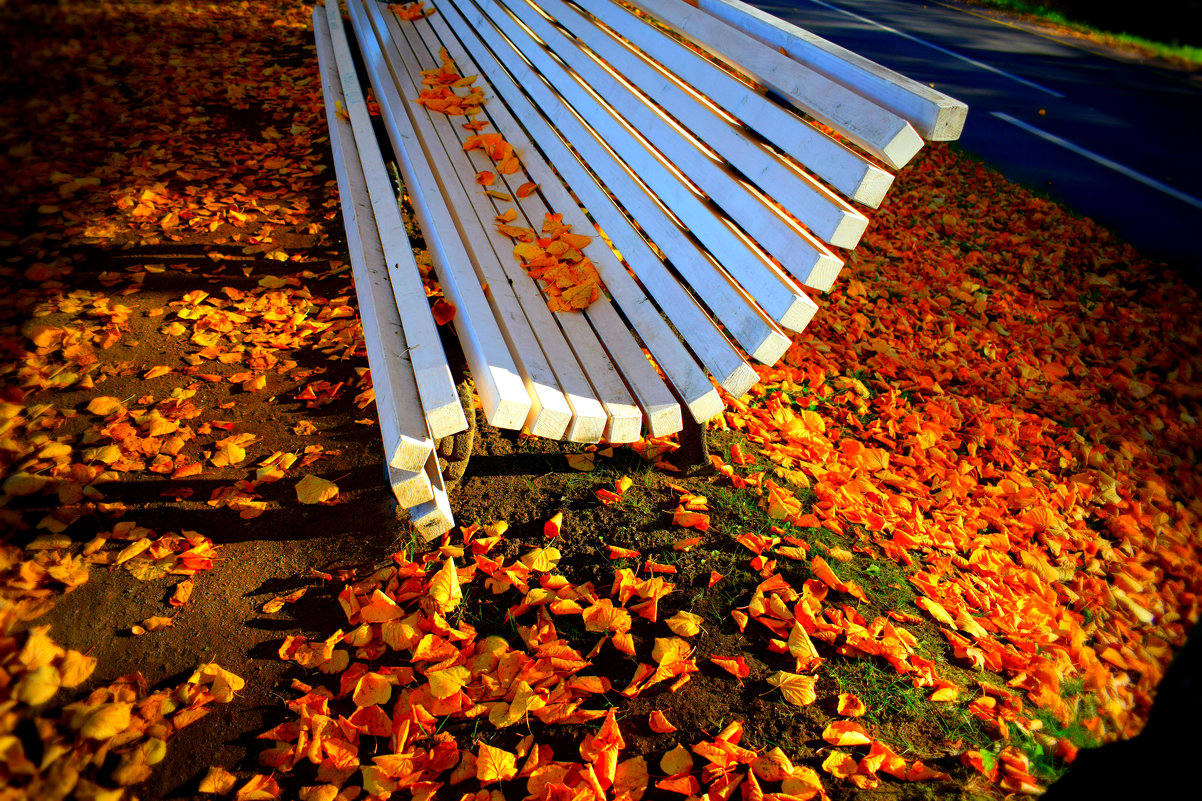 скамейка в парке в осенней листве - Танзиля Завьялова