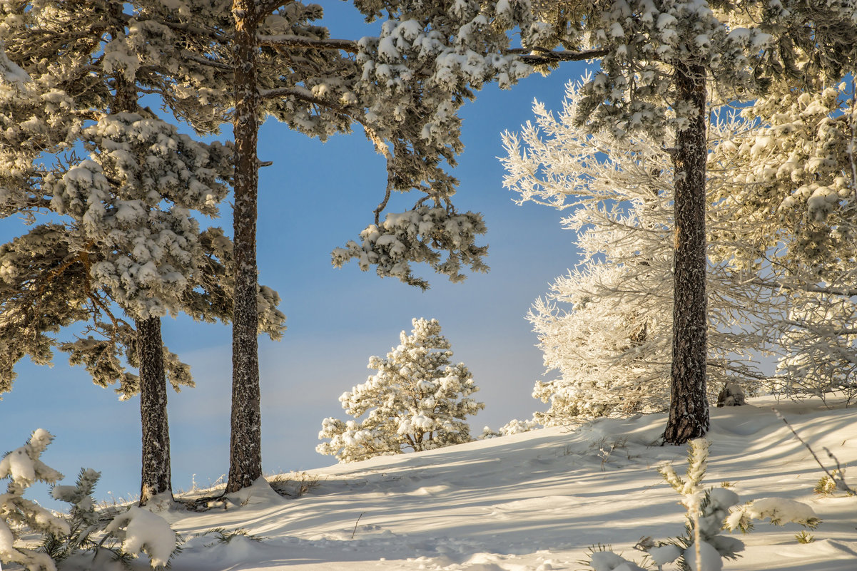 winter day in the mountains - Dmitry Ozersky