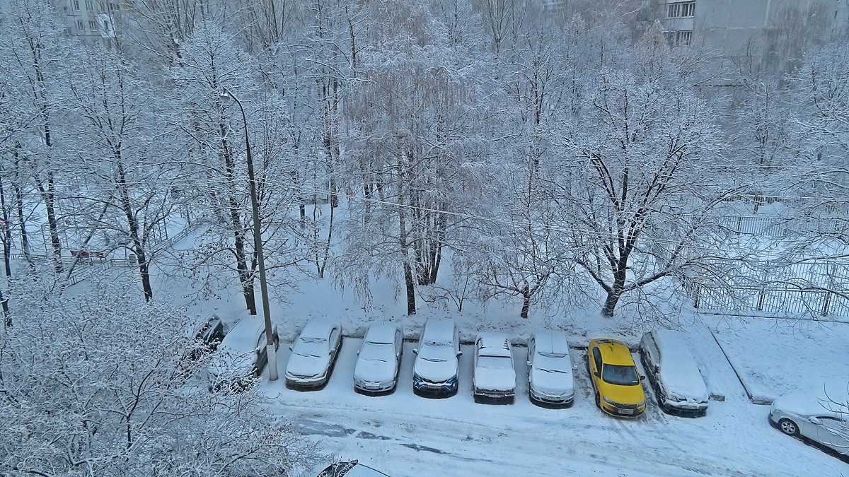 Завалило  мокрым снегом! ( А  ехать  надо  всё равно!) - Виталий Селиванов 