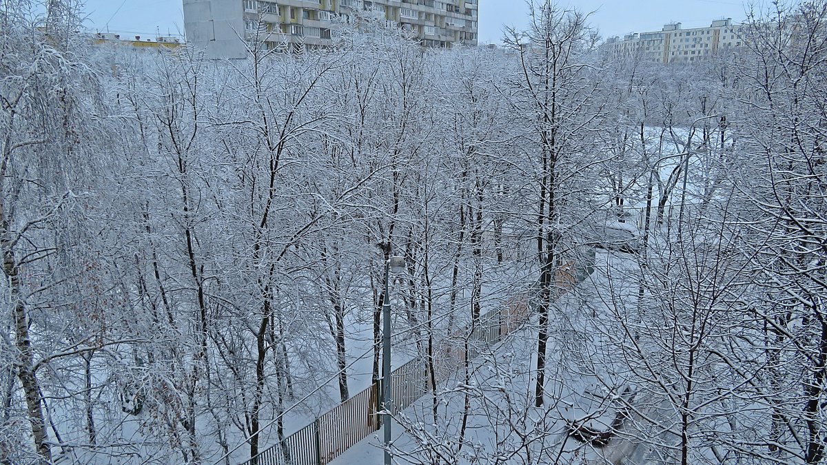 Будут  сегодня  детишкам  снежки! - Виталий Селиванов 
