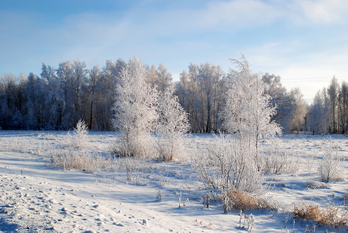 Зимний пейзаж - lyudmila Курлова