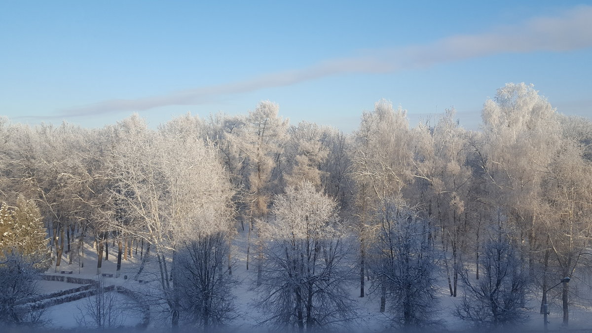Ясный Зимний День - Алексей Лукаев