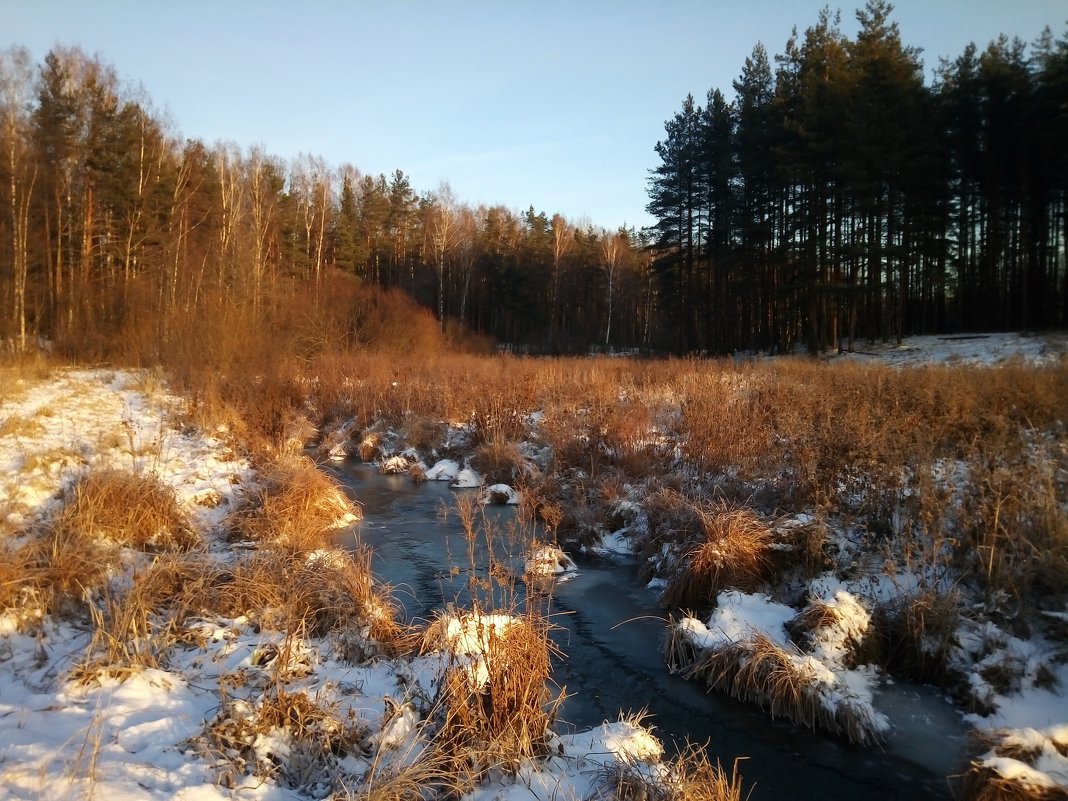 Ручей зимой - Елена Павлова (Смолова)