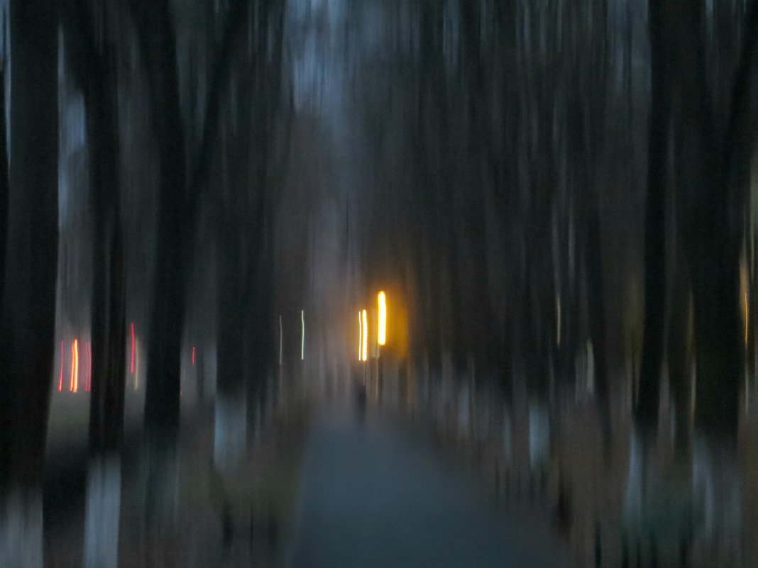 Ночь в парке - Татьяна Львова 