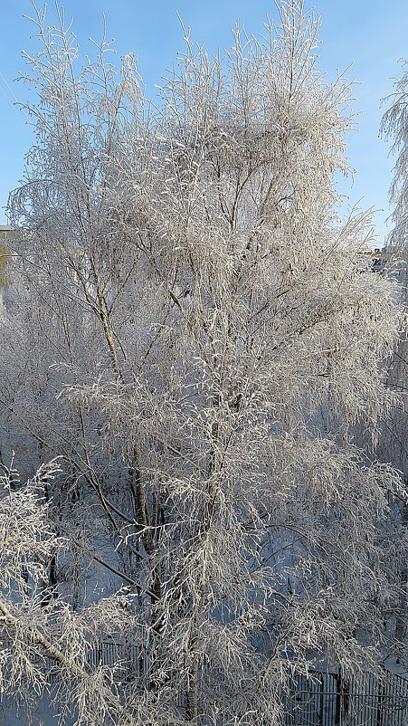 За  моим  окном - Виталий Селиванов 