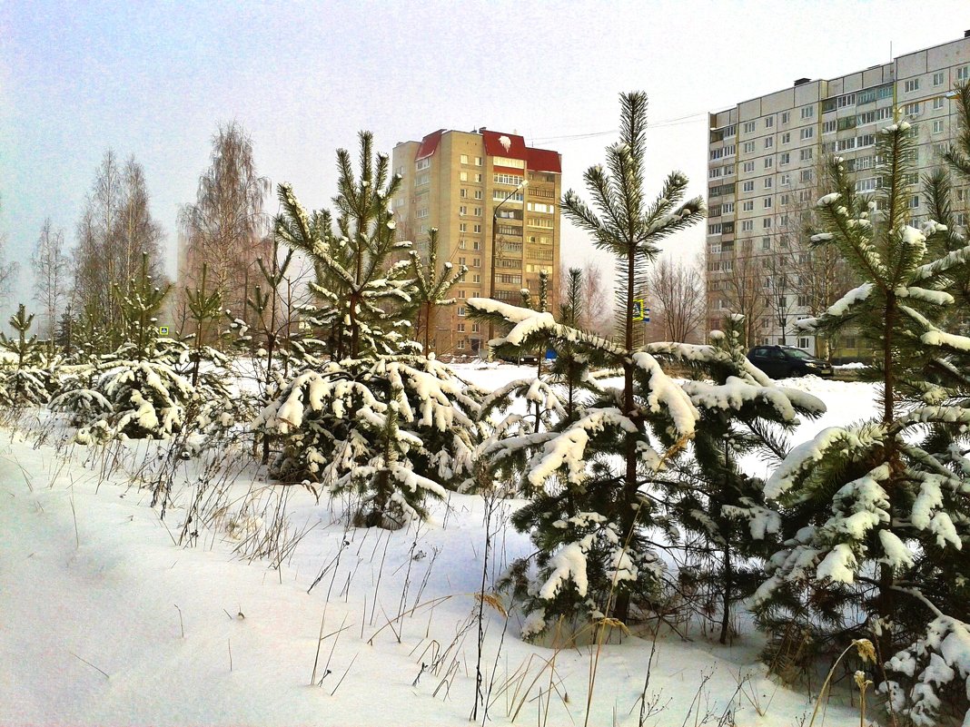 городская среда - Владимир 