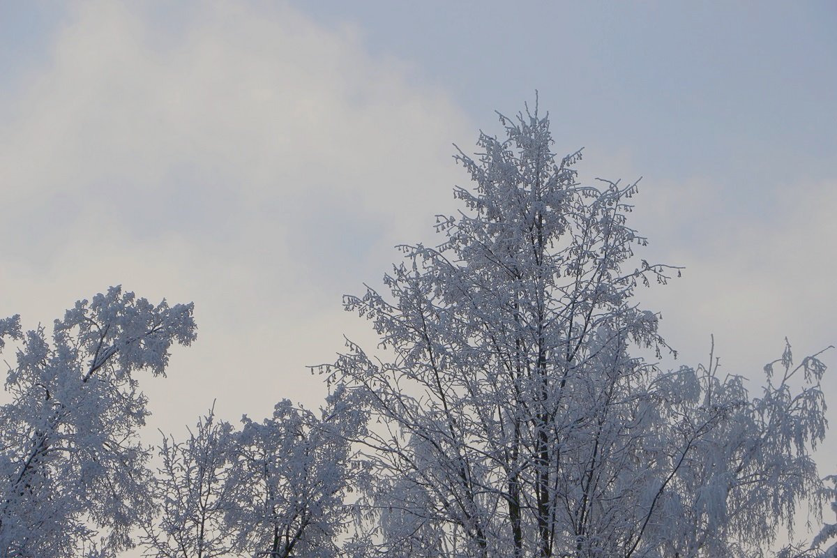 Зима в вышине - Надежд@ Шавенкова