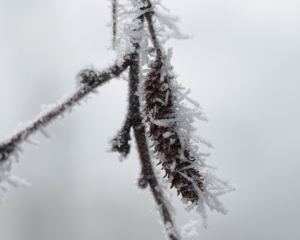 Искусство шведской зимы - wea *