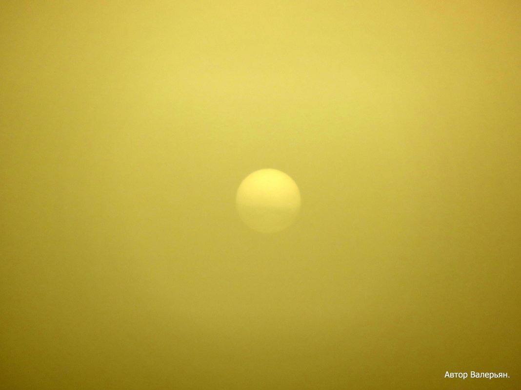Туман и солнце. - Валерьян Запорожченко