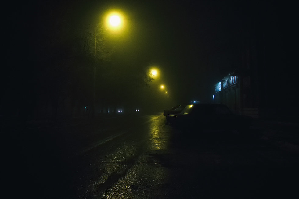 Туманная ночь - Виталий Павлов