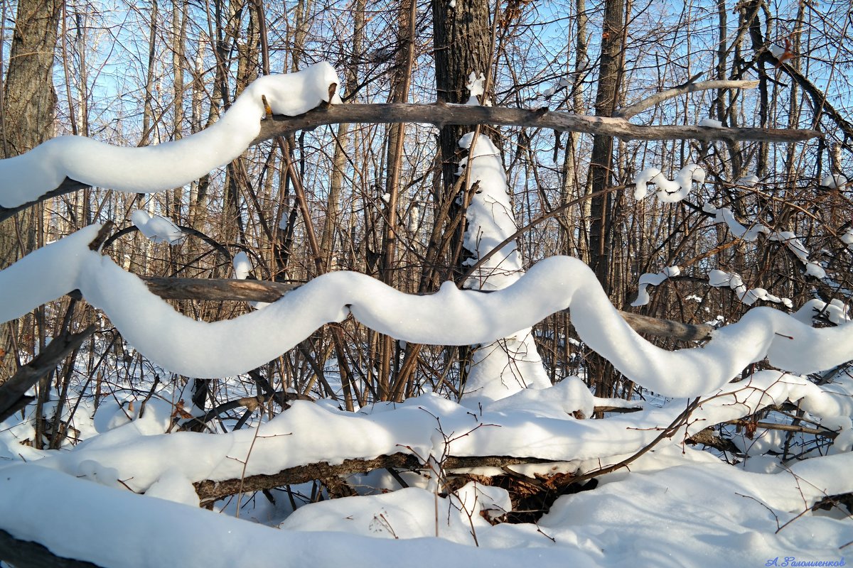 О змейках  снежных... - Андрей Заломленков