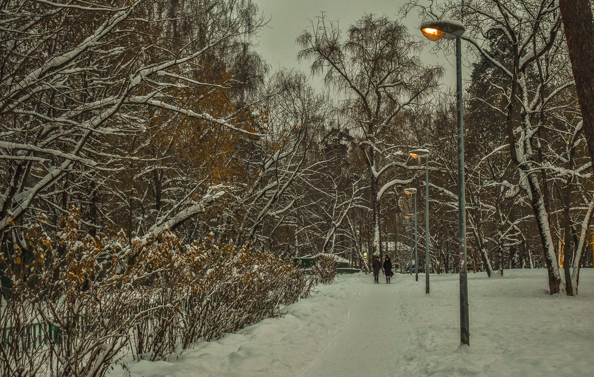 Прогулки по зимнему Парку - юрий поляков