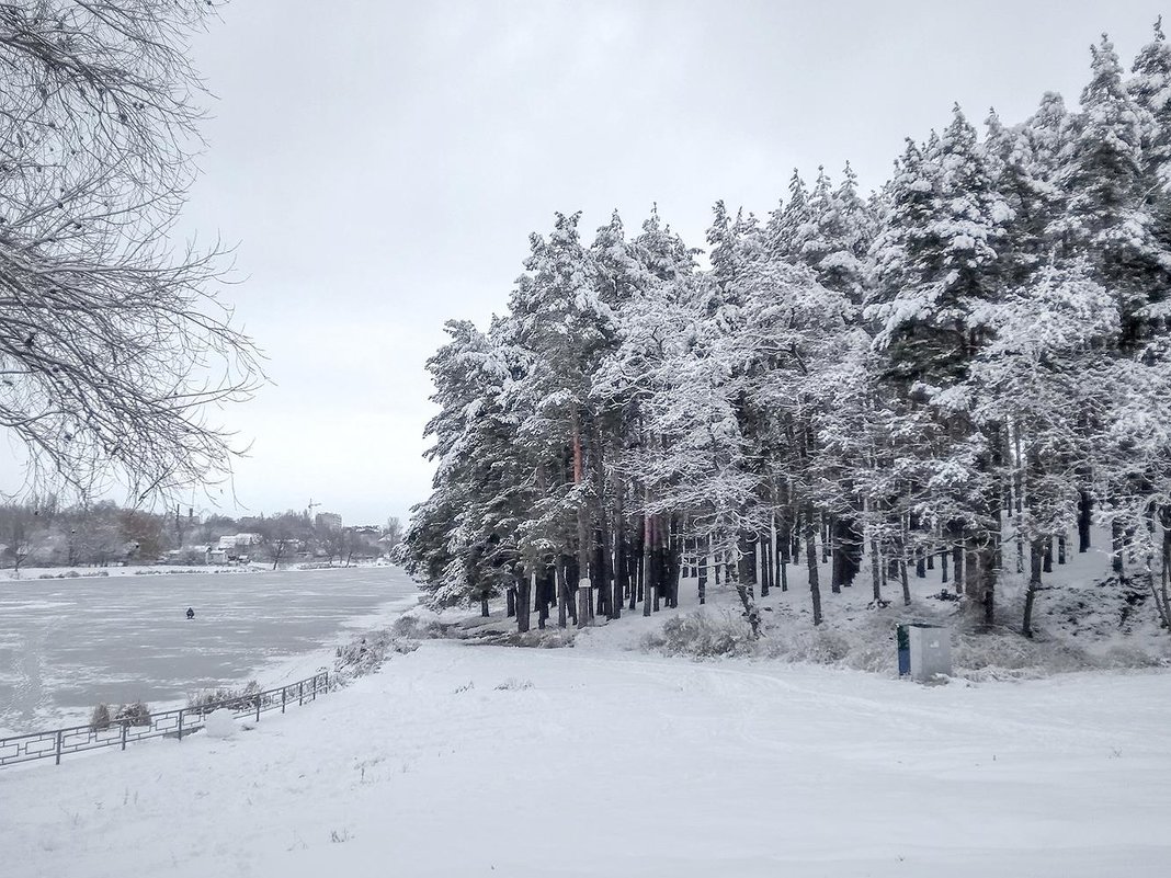 Зима, снег - Сергей Тарабара