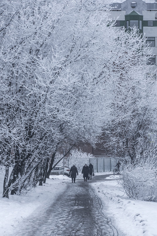 Зима в Южном Бутово - Игорь Герман